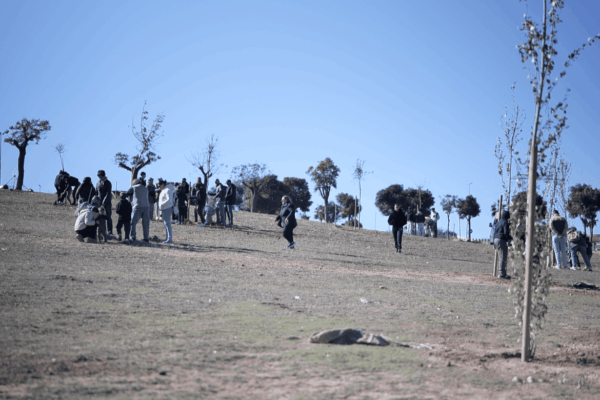 Captura de pantalla 2025-11-25 a las 13.33.06