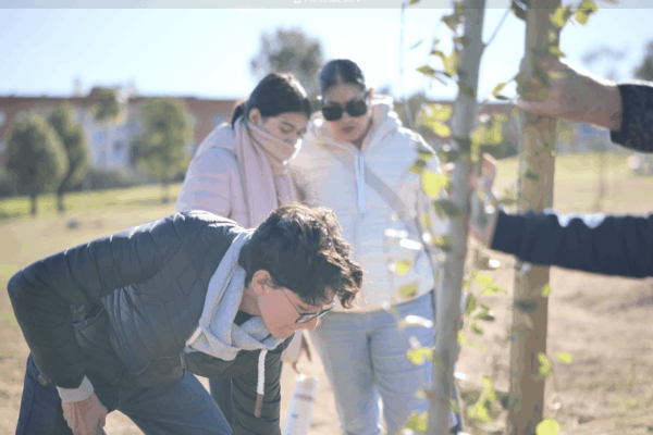 Captura de pantalla 2025-11-25 a las 13.33.52