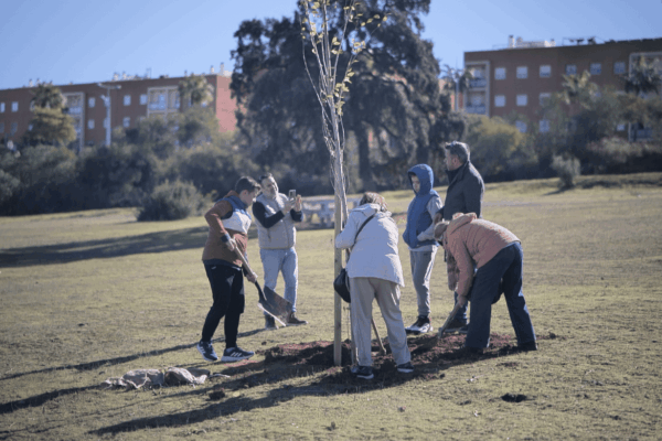 Captura de pantalla 2025-11-25 a las 13.34.05