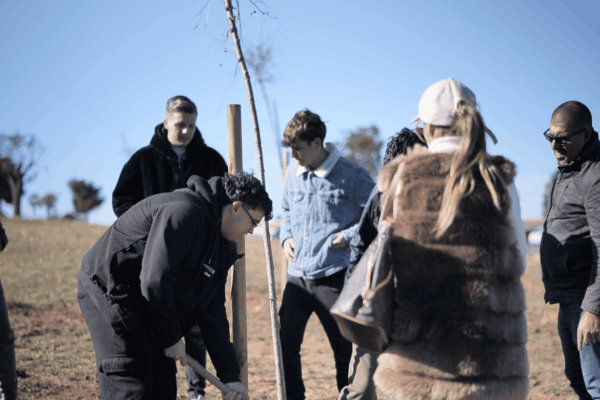 Captura de pantalla 2025-11-25 a las 13.34.24