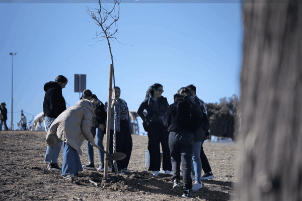 Captura de pantalla 2025-11-25 a las 13.35.42