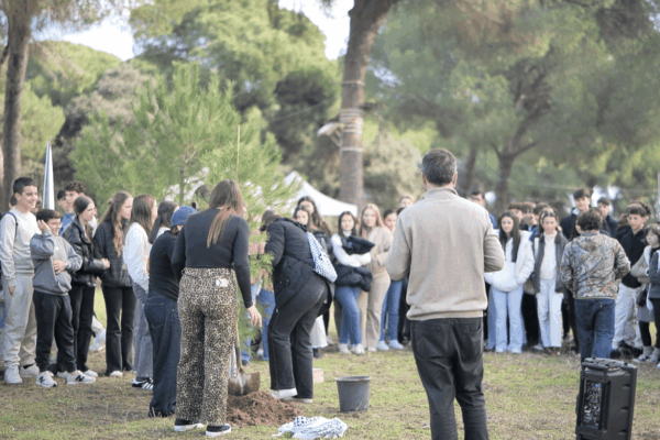 Captura de pantalla 2025-11-25 a las 13.42.31