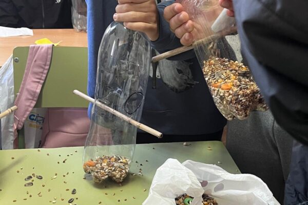 2. RV2030AlcoleadelRio