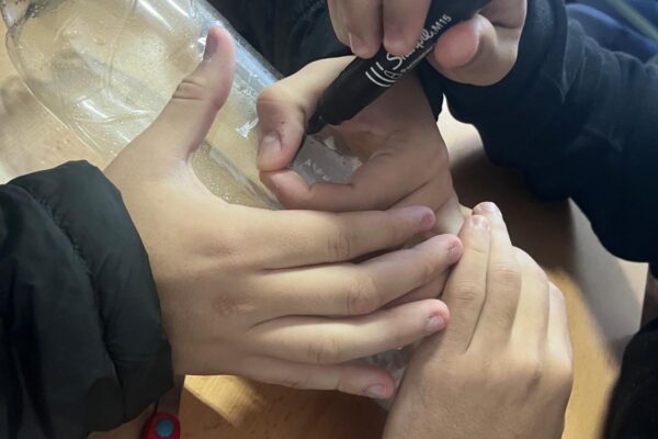 3. RV2030AlcoleadelRio