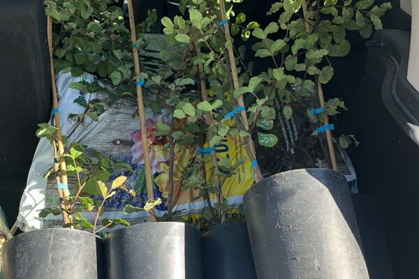 4. RV2030AlcoleadelRio