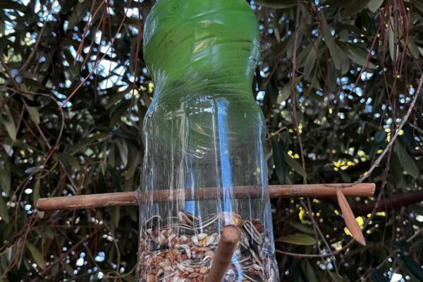 7. RV2030AlcoleadelRio