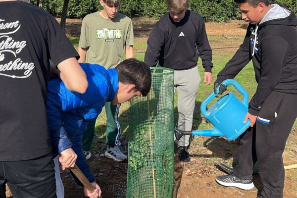 10. RV2030AlcoleadelRio