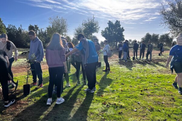 12. RV2030AlcoleadelRio